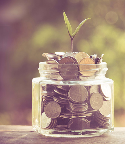 a plant growing out of a jar of coins representing Investment growth